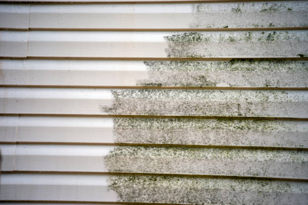Best Attic Cleanout  in Batesville, IN